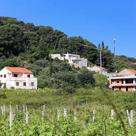 With Parking Space Lumbarda, Korcula - 4370 公寓 *