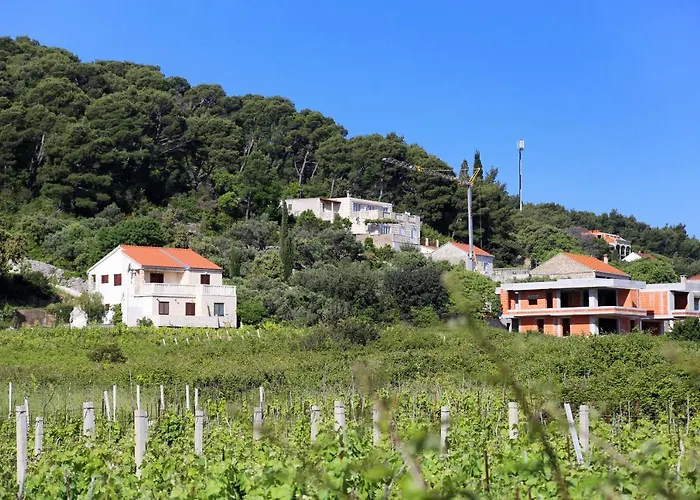 With Parking Space Lumbarda, Korcula - 4370 公寓 *